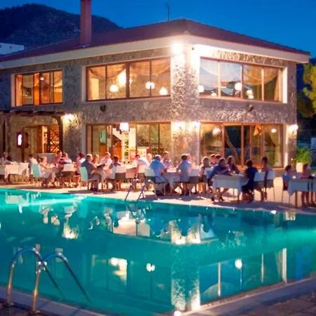 Joya Cyprus Starlight Garden